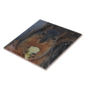 eekhoorn tegeltje (Zijkant)