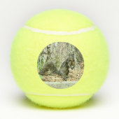 eekhoorn tennisballen (Achterkant)