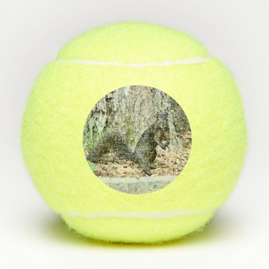 eekhoorn tennisballen (Voorkant)