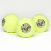eekhoorn tennisballen (Multi)