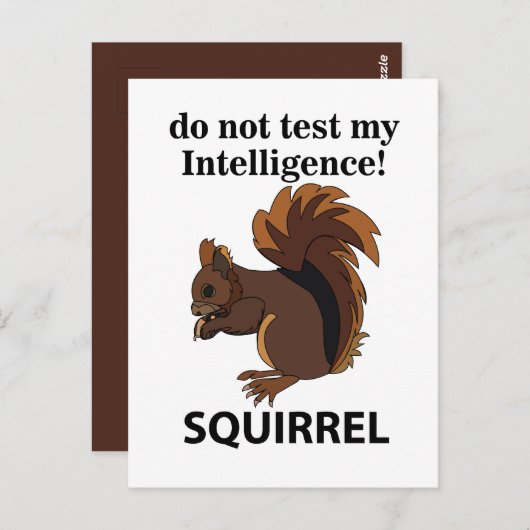 Eekhoorn test mijn intelligentie niet briefkaart (Voorkant / Achterkant)