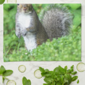 eekhoorn theedoek (Gevouwen)