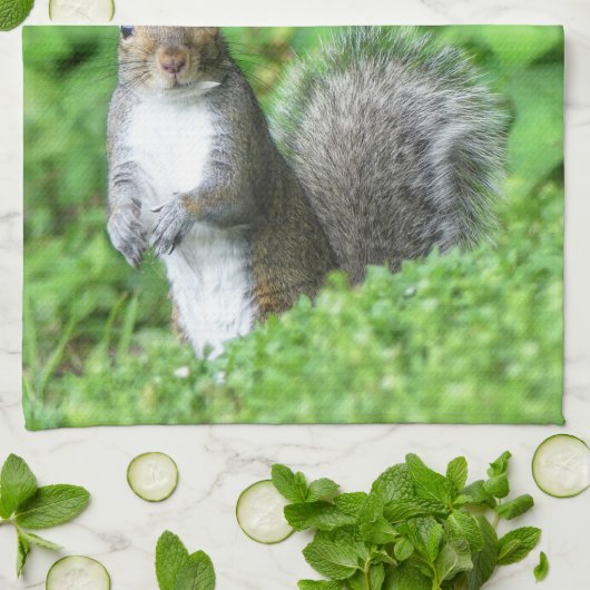 eekhoorn theedoek (Gevouwen)