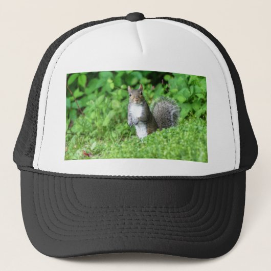 eekhoorn trucker pet (Voorkant)