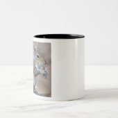 eekhoorn tweekleurige koffiemok (Center)