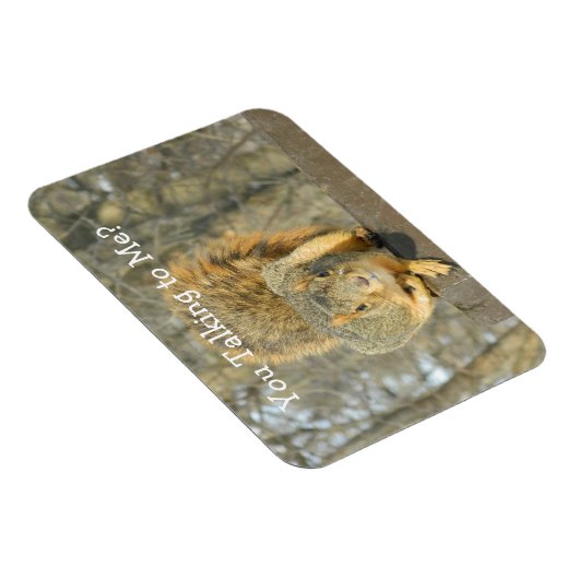 Eekhoorn (u praat) magneet (Rechterzijde)