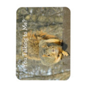 Eekhoorn (u praat) magneet (Verticaal)