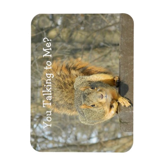 Eekhoorn (u praat) magneet (Verticaal)