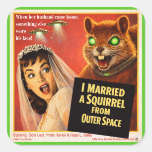 Eekhoorn uit de kosmos parodie vierkante sticker