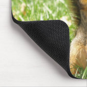 Eekhoorn uit in het gras Foto Muismat (Hoek)