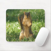 Eekhoorn uit in het gras Foto Muismat (Met muis)