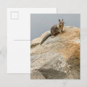 eekhoorn uitnodiging briefkaart (Voorkant / Achterkant)