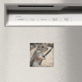 Eekhoorn Vengeance Magnet (Insitu (Vaatwasser))