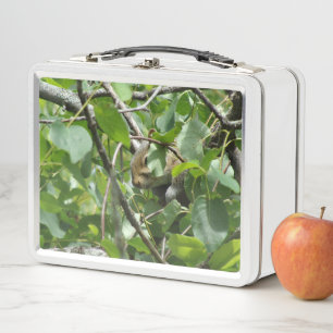 Eekhoorn Verbergen in Tree Metal Lunchbox