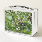 Eekhoorn Verbergen in Tree Metal Lunchbox (Achterkant)