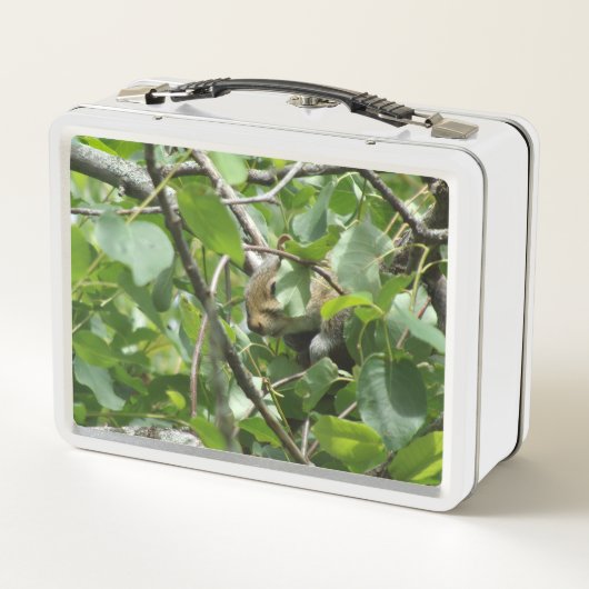 Eekhoorn Verbergen in Tree Metal Lunchbox (Achterkant)