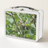 Eekhoorn Verbergen in Tree Metal Lunchbox (Voorkant)
