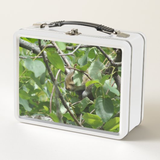 Eekhoorn Verbergen in Tree Metal Lunchbox (Voorkant)
