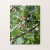 Eekhoorn verbergen legpuzzel (Verticaal)