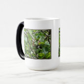 Eekhoorn Verbergen Morphing Mok (Voorkant links)