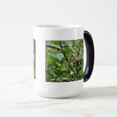 Eekhoorn Verbergen Morphing Mok (Voorkant rechts)