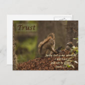 Eekhoorn - Vertrouwen Briefkaart (Voorkant / Achterkant)
