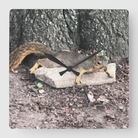 eekhoorn vierkante klok (Voorkant)