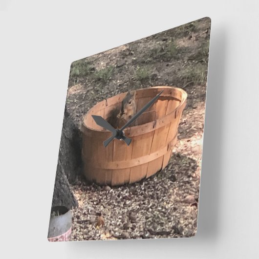 eekhoorn vierkante klok (Hoek)