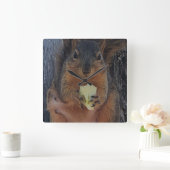 eekhoorn vierkante klok (Huis)