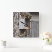 Eekhoorn Vierkante Klok (Huis)