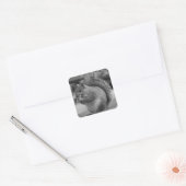 eekhoorn vierkante sticker (Envelop)