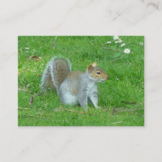 eekhoorn visitekaartje (Voorkant)