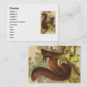 eekhoorn visitekaartje (Voorkant / Achterkant)