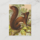  eekhoorn visitekaartje (Achterkant)