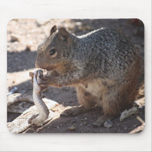 Eekhoorn vs. Rattlesnake Mousepad Muismat