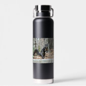 eekhoorn waterfles (Achterkant)
