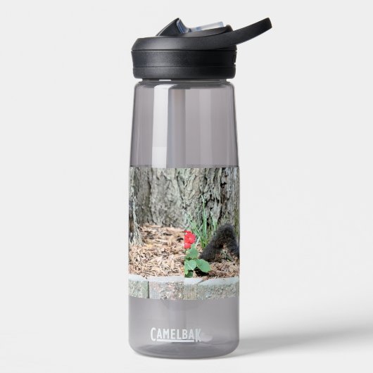 eekhoorn waterfles (Links)