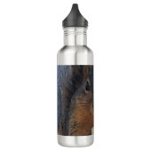 eekhoorn waterfles (Links)