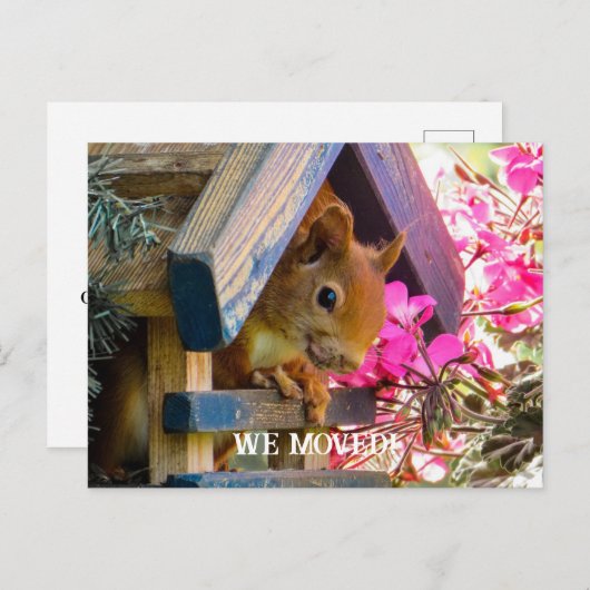 Eekhoorn We bewogen Briefkaart (Voorkant / Achterkant)