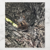 eekhoorn wijn etiket (Enkel label)