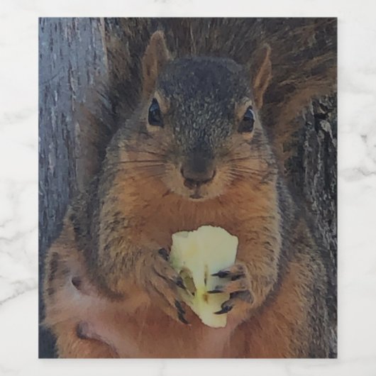 eekhoorn wijn etiket (Enkel label)