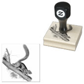 Eekhoorn wilde dieren  illustratie rubberstempel (Gestempeld)