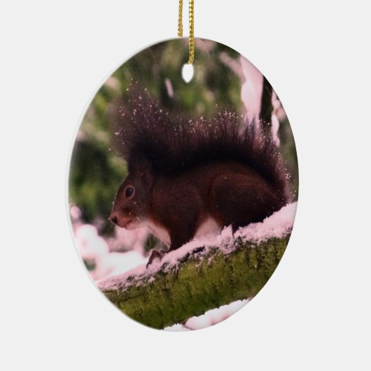Eekhoorn Winter Foto Cirkel Ornament (Rechts)