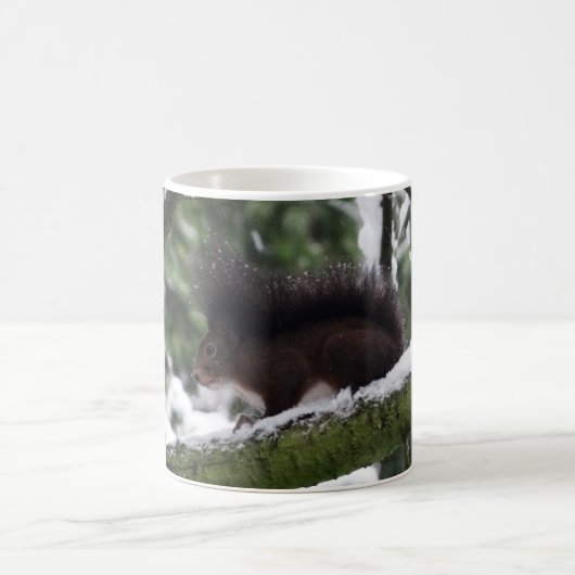 Eekhoorn Winter Foto Classic Mok (Center)