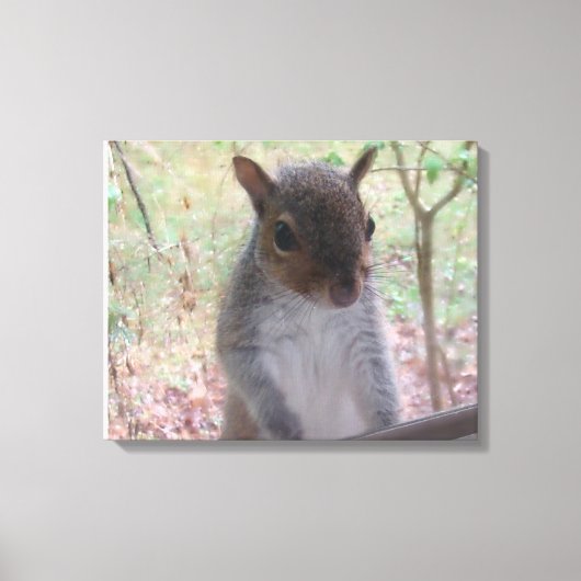 Eekhoorn zegt Hi! Canvas Afdruk (Voorkant)