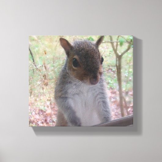 Eekhoorn zegt Hi! Canvas Afdruk (Voorkant)