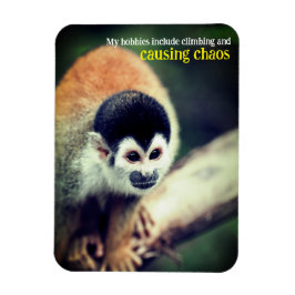 Eekhoornaap in boom magneet