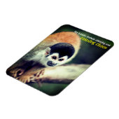 Eekhoornaap in boom magneet (Linkerzijde)