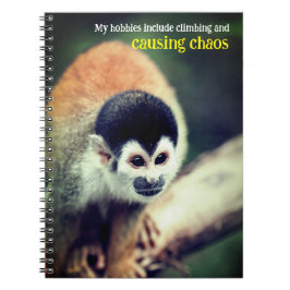 Eekhoornaap in boom notitieboek