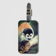 Eekhoornaap in de boom